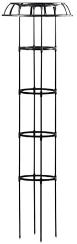 Enrejado de jardín Enrejado de rosal trepador clemátide en Forma Paraguas Soporte for Plantas Altas Exterior Planta jardín Independiente(L)
