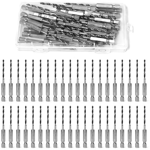 Dagran Set di 40 Punte Elicoidali per Trapano con Punto di Posizionamento Centrale e Codolo Esagonale, 3mm Micro Punte per Mini Trapano Twist Drill, per Falegnameria, Lavorazione del Legno