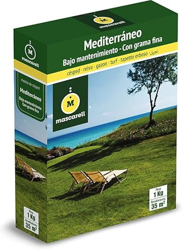Mascarell Semillas, MEDITERRÁNEO, Semillas de Césped, Verde y Duradero, Resistente al calor, Compacto, 1 KG