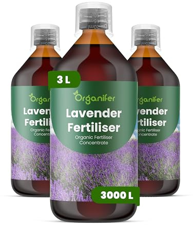 Organiskt flytande gödsel 3x1L för Lavendel – friska blad och vitalitet - Organifer