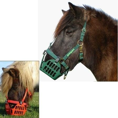 Greenguard® Set - Fressstopp Maulkorb mit Halfter