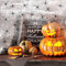 BELSVOR Halloween Deko Spinnennetz, 100g Halloween Deko Spinnennetz & 40 Schwarze Spinnen, Spinnennetz Halloween Deko für Fenster/Schlafzimmer/Türen/Garten, Spinnennetz Halloween DEKO