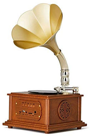ZJFHEYUO Lettore di Vinile, Mini Altoparlante Stereo a Forma di fonografo Classico retrò, Sistema Audio Carillon grammofono