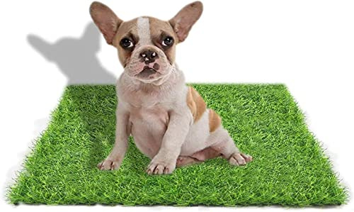STARROAD-TIM 50 * 60cm Alfombra de Césped Artificial de para Perros, para Interiores y Exteriores, Césped Falso para Perros, área de Entrenamiento para Patio, Decoración de Césped