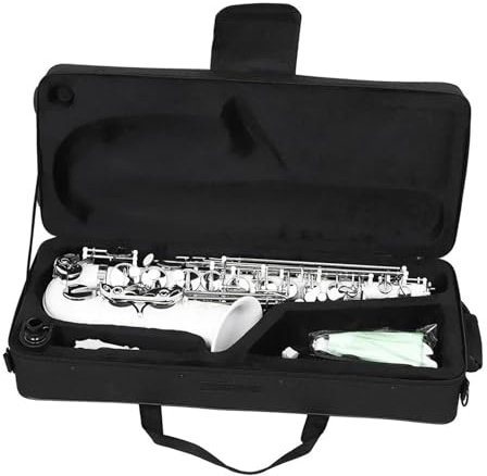 Professionell Saxofon Altsaxofon I E Komplett Med Tillbehör