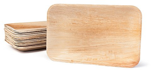 BIOZOYG Palmware DTW05329 Plato de Hoja de Palma, 25 uds, Rectangular, Plano, 25x15 cm, Biodegradable