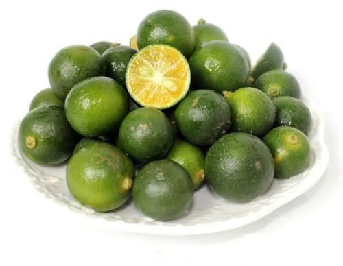 30 Pc Semillas De Árbol De Kumquat, Pequeños Regalos Terraplanter, Semillas De Árboles Comprar Semillas De Kumquat - Citrus Japonica - Decoración De Jardín Para Exterior, Semillas