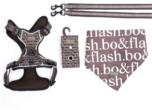 bo&flash Hundegeschirr Set Boston mit robuster Leine – Bequemes Brustgeschirr für unterwegs – 4 tlgs. Atmungsaktives Zuggeschirr mit charmantem Halstuch für kleine Hunde – Taupe – S
