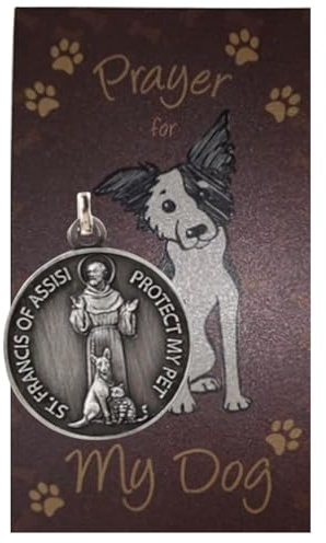 Westmon Works St Francis Medal for Dogs Collar Pendant with Saint Pet Prayer Card
