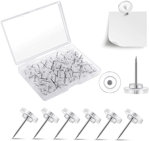 Redamancy 120 Stück Reiszwecken mit Kopf, Transparente Reißzwecken, 16mm Pinnadeln Heftzwecken Reiszwecknadeln Heftzwecken Weiß Reissnägel mit Aufbewahrungsbox für Pinnwand Büro Schule Zuhause