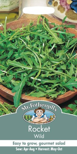 Mr Fothergill's 19865 Vegetable Seeds, Rocket Wild