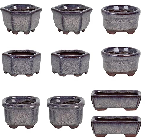 happy bonsai 1.8(4.5cm) 10 Mini Glazed Pots