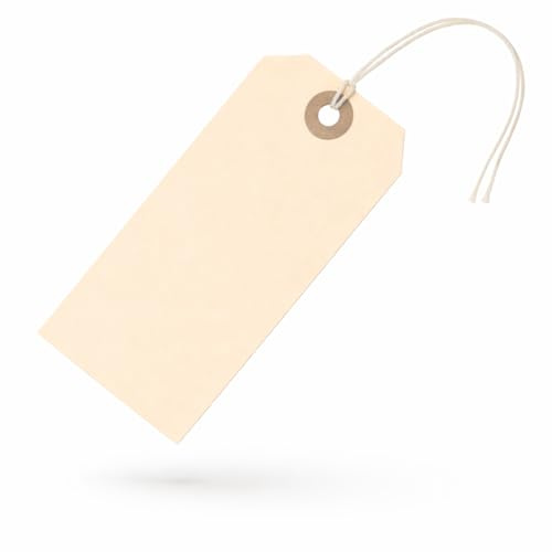 Etichette di carta con cordino attaccato, 12 x 6 cm, 100 etichette grandi con cordino