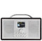 ALANO Radio FM/Dab+/Bluetooth/AUX IN Radio Digital Dab Color Madera, Radio Dab portátil con Pantalla a Color 2.4 TFT y Modo de Doble Alarma, Radio Dab con diseño Retro para jardín y Cocina