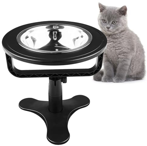 MeoZynxadril Gamelle Chat, Gamelle Chat Surélevée, avec Inclinable à 15°, Antidérapante Inclinée, Bol Dog Surélevée, pour Petits Chiens