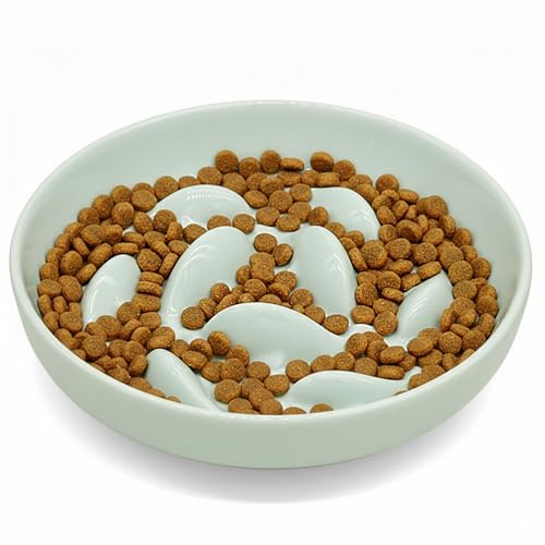 Cilkus Anti-Bloat Ceramic Slow Feeder Bowl - Fish Pool Design Interactive Puzzle Feeder for Cats & Small Dogs, Food-Safe Porcelain Healthy Eating Dish (Green-Ceramic)