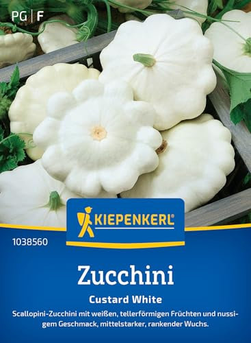 Kiepenkerl Zucchinisamen Custard White 1038560 - Scallopini Zucchini - weiß - tellerförmig - nussiger Geschmack - Samen Gemüse, Saatgut, Gemüsepflanzen