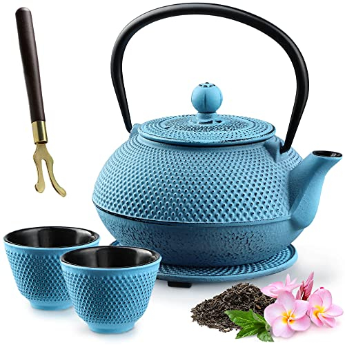 KADAX Théière Japonaise en Fonte de 850 ml avec Intérieur Émaillé, Bouilloire avec Deux Tasses et Infuseur pour Thé en Vrac, Service à Thé Complet (Bleu)