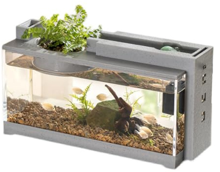 PortoAlegre Micro paesaggio acquario, starter completo con filtro per il flusso dell'acqua muto Betta, per la decorazione del desktop