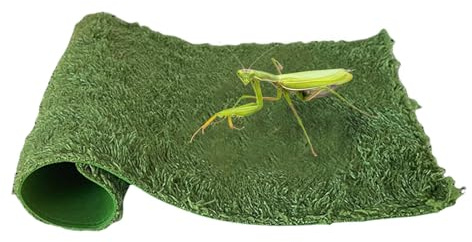 Bartagamen-Teppich, starke Wasseraufnahme, Reptilien-Auskleidung, 40 x 25 cm, zuschneidbare Terrarium-Bettwäsche für Chamäleons, Schildkröten, Geckos, Eidechsen, Schildkröten