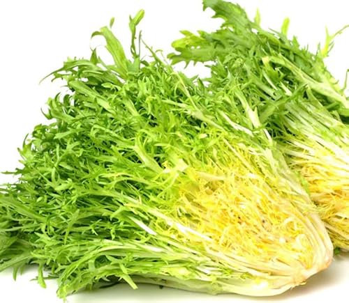 Japanese Mizuna Mustard Greens Seeds, Cabbage Variety for Salads, 200 Seeds