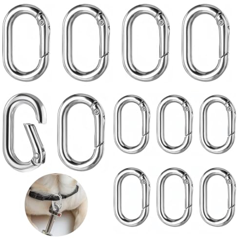 JEYORZY 12Pcs Chiavi a Molla Chiusura Moschettone,Fibbia a Molla Ovale, Moschettoni Ovali Clip Portachiavi Chiusura per Zaini, Portafogli, Bagagli Cinghie, Artigianato(d'Argento)