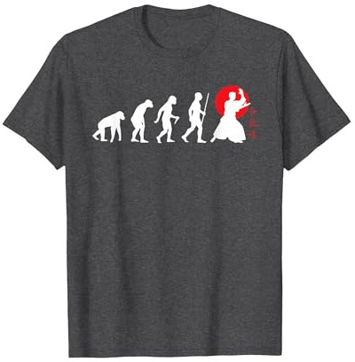 The Aikido Evolution - Aikido Artes Marciales japonesas Camiseta, Hombre, Jaspeado Oscuro, XL