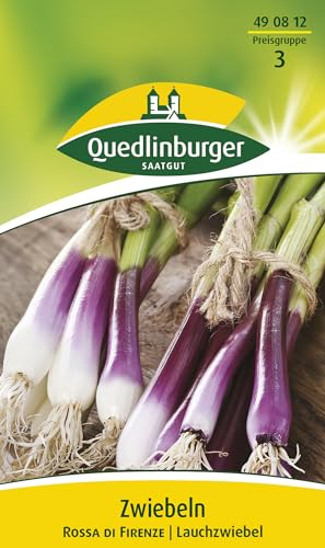 Zwiebel, Rote von Florenz