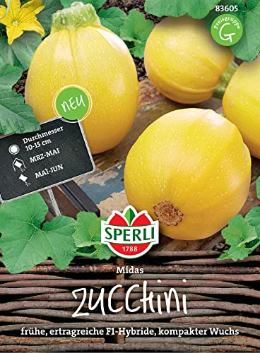 Sperli Zucchinisamen Midas, F1 83605 - Ertragreiche gelbe Zucchini, bewährte Sorte, ideal für sonnige Lagen, nährstoffreiche Erde, Anbau von Mai bis Juni, Saatgut für 8 Pflanzen