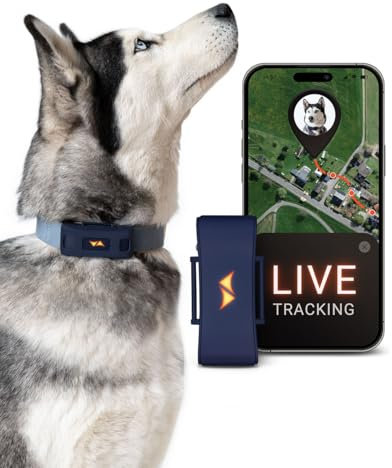 PAJ GPS Tracker für Hunde - 4G - Weglaufalarme + weltweite Live-Ortung - bis zu 10 Tage Akkusparmodus - Hunderückruf - mit Leucht-LEDs - Wasserdicht (IP67) - passt an jedes Halsband (Blau)