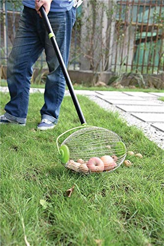 Nuss- und Obstsammler 68090 Breite 23 cm mit teleskopierbarem Stiel