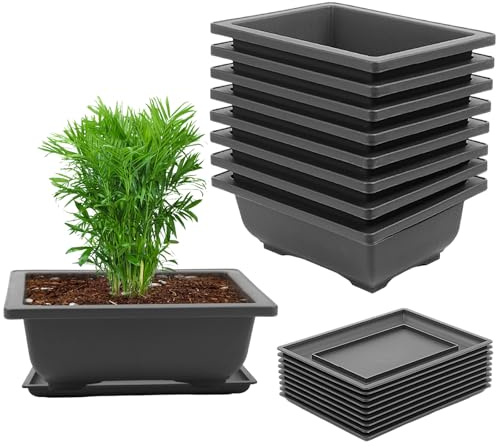 CHUIFAI 12 macetas para bonsái con Posavasos, 23 x 17 x 8 cm, Cuenco para bonsái, macetas Grandes de plástico para alféizar de Ventana, jardín, terraza