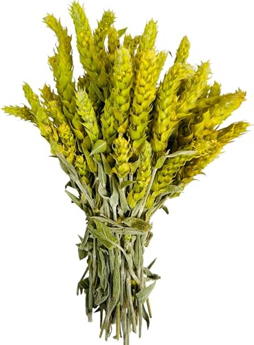 Tè di Montagna Greco Biologico Certificato Sideritis Scardica 220g - 5Kg Qualità Premium (220 grammi)