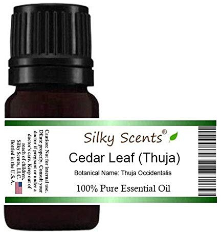 Cedar Leaf or White Cedar Essential Oil (Thuja Occidentalis) 100% Pure and Natural 10 ML