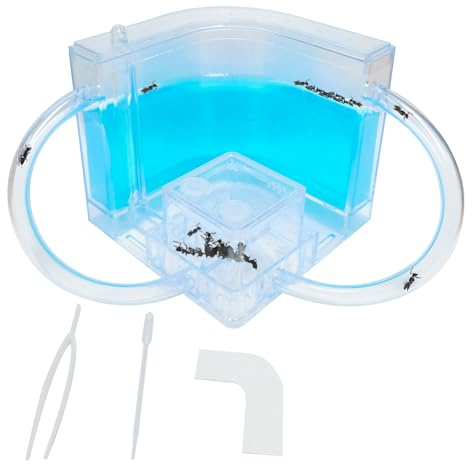 EXBEPE Ant Farm for Kids - Gel Castle Colony Ecosystem Terrarium Kit, Habitat Science Learning Kit