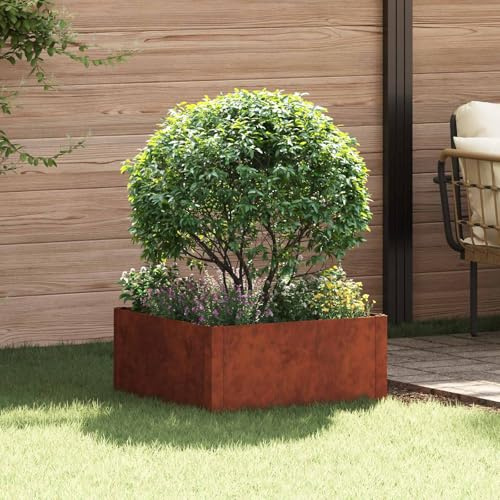 Holepyr Ribete para césped de 60 x 60 x 35 cm, acero oxidado, borde de jardín, borde de parterres, para caminos de jardín y parterres, resistente a la intemperie