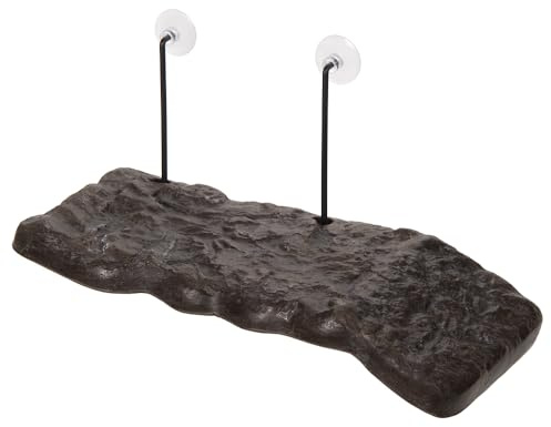 Zoomed T8016020 Isola Turtle