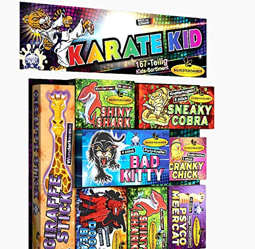 Lesli Feuerwerk Karate Kid über 167 Teile Jugendsortiment ganzjährig verwendbar