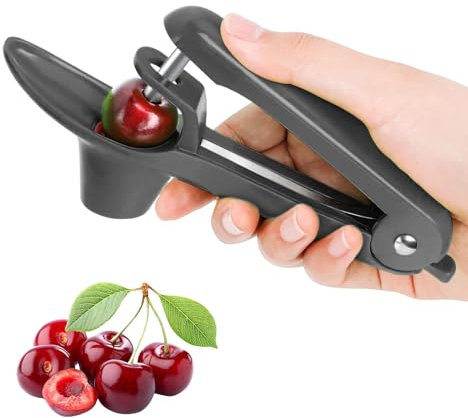 Dénoyauteur de cerises, dénoyauteur de cerises avec tige en acier inoxydable, outil portable pour dénoyauter les cerises à fruits, dénoyauteur de cerises ou dénoyauteur pour aubépine, cerise, prune,