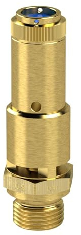 RIEGLER 104584-227.55-8,5 - Válvula de seguridad DN 10, latón, G 1/2, presión de respuesta: 8,5 bar, 1 unidad.