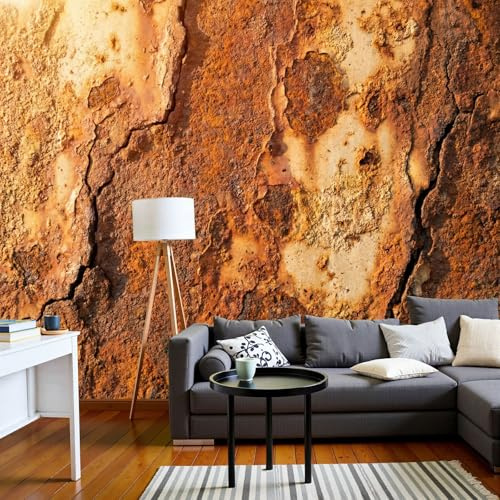 Carta da parati Metallo Ruggine 250 x 175cm Fotomurali in Seta Murale Decorazione Effetto 3D Industriale Retrò Carta per Pareti per Bagno Soggiorno Camera da Letto Cucina Marrone Ruggine