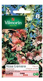 Vilmorin - Sachet graines Rose Trémière Pastorale