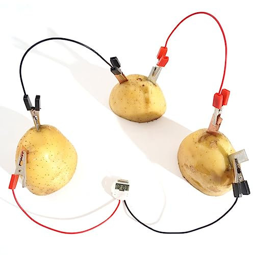 Potato Battery Kit Educativo Batterie Experiment per Scienza, Kit Esperimenti Elettricità per Bambini, Batteria per Frutta Fai Sveglia per Patate Esperimenti di Elettricità per Patate Giocattoli