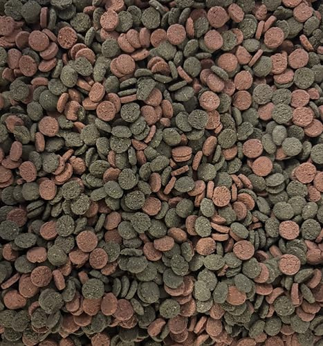 Miniwafers Mix - 6 % de spiruline et d'astaxanthine - Wafers coulants pour herbivores de sol et de plantes dans l'aquarium - Nourriture équilibrée pour poissons d'ornement et invertébrés (250 g)