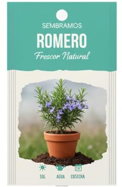Cultivo de Romero en Casa | Semillas Aromáticas DECOALIVE para Maceta, Jardín y Huerto Urbano