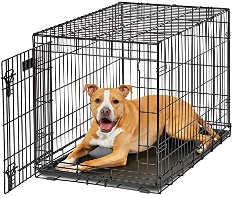 MidWest Homes for Pets Intermediate LifeStages Single Door 36-Inch Folding Dog Crate, Enhanced Security, Includes Leak-Proof Pan, Divider Panel, Handle, Rubber Feet