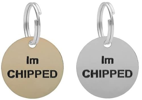 LARRYROO I'm Chipped 25mm Cat Tag for Kitten, Puppy, Dog ID Pet Tags - Engraved in Deep, Black & Bold Letters (Gold/Brass)
