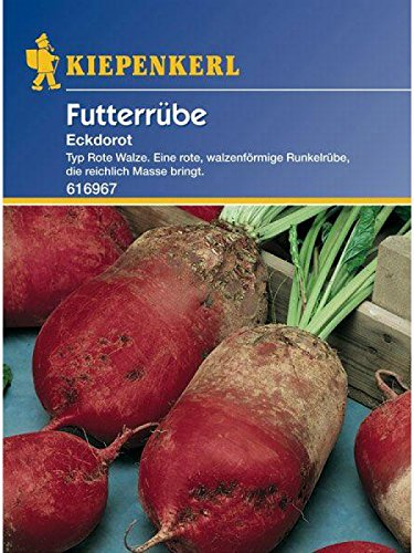 Kiepenkerl Futterrüben Eckdorot