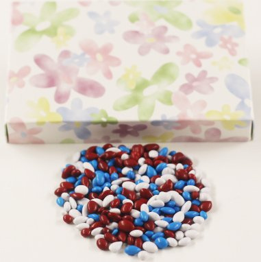 Scott's Cakes Patriotic Mix Chocolate Covered Sunflower Seeds in a 1 Pound Daisy Box