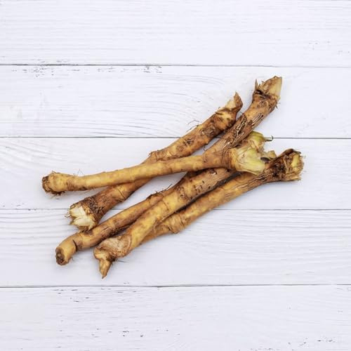 semi di rafano,Semi di ortaggi,regali per gli amanti del giardino biologici,facili da piantare giardino decorativo,a crescita rapida ortaggi invernali 150pcs